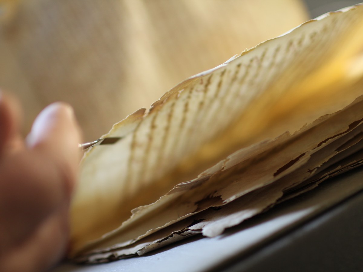 Manuscripts 101: Manuscript Materials
